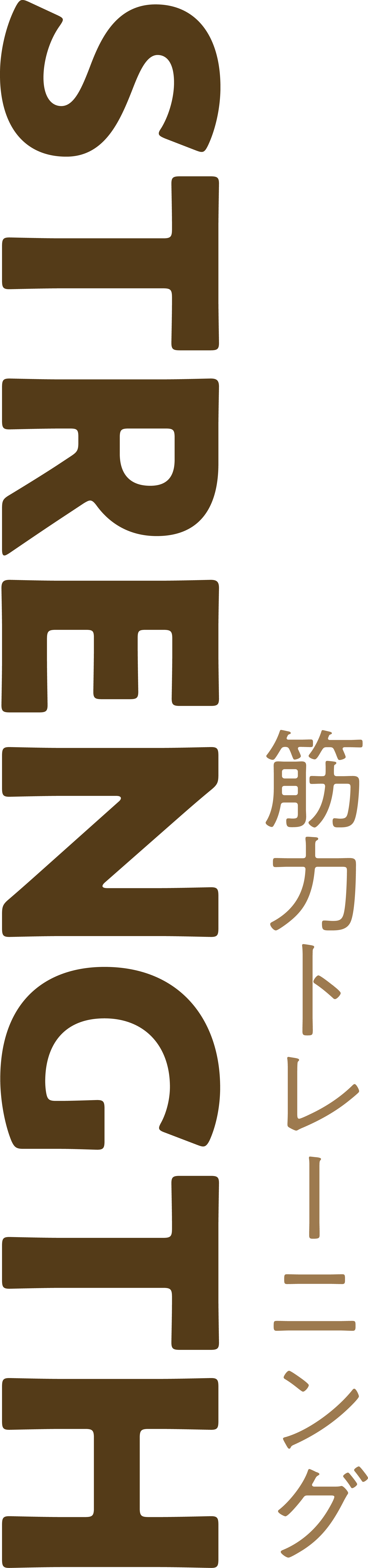 STRENGTH 筋力トレーニング