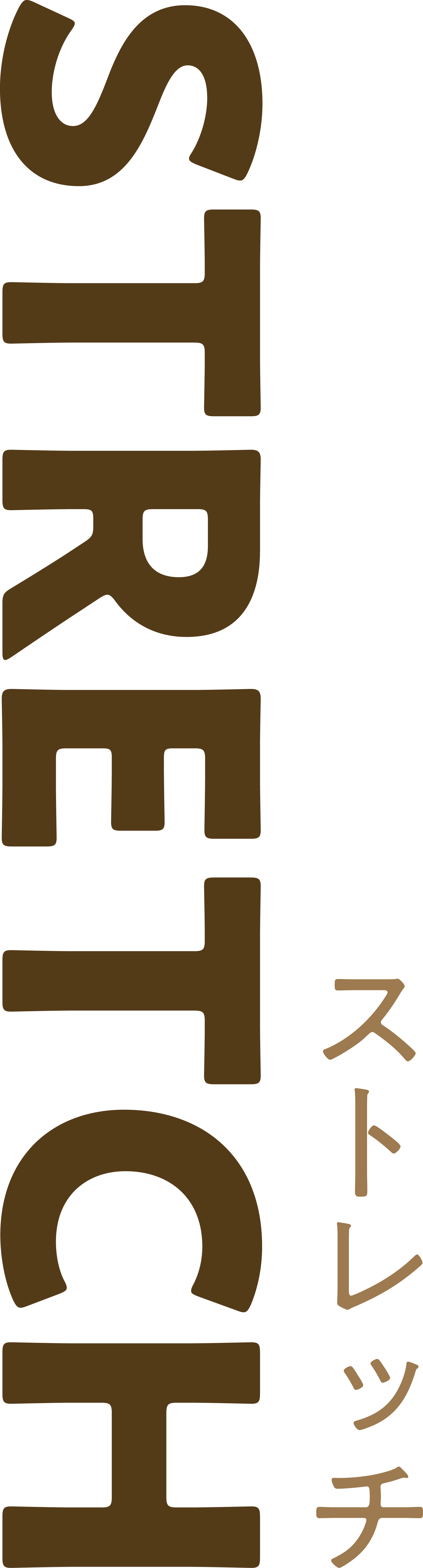 STRETCH ストレッチ